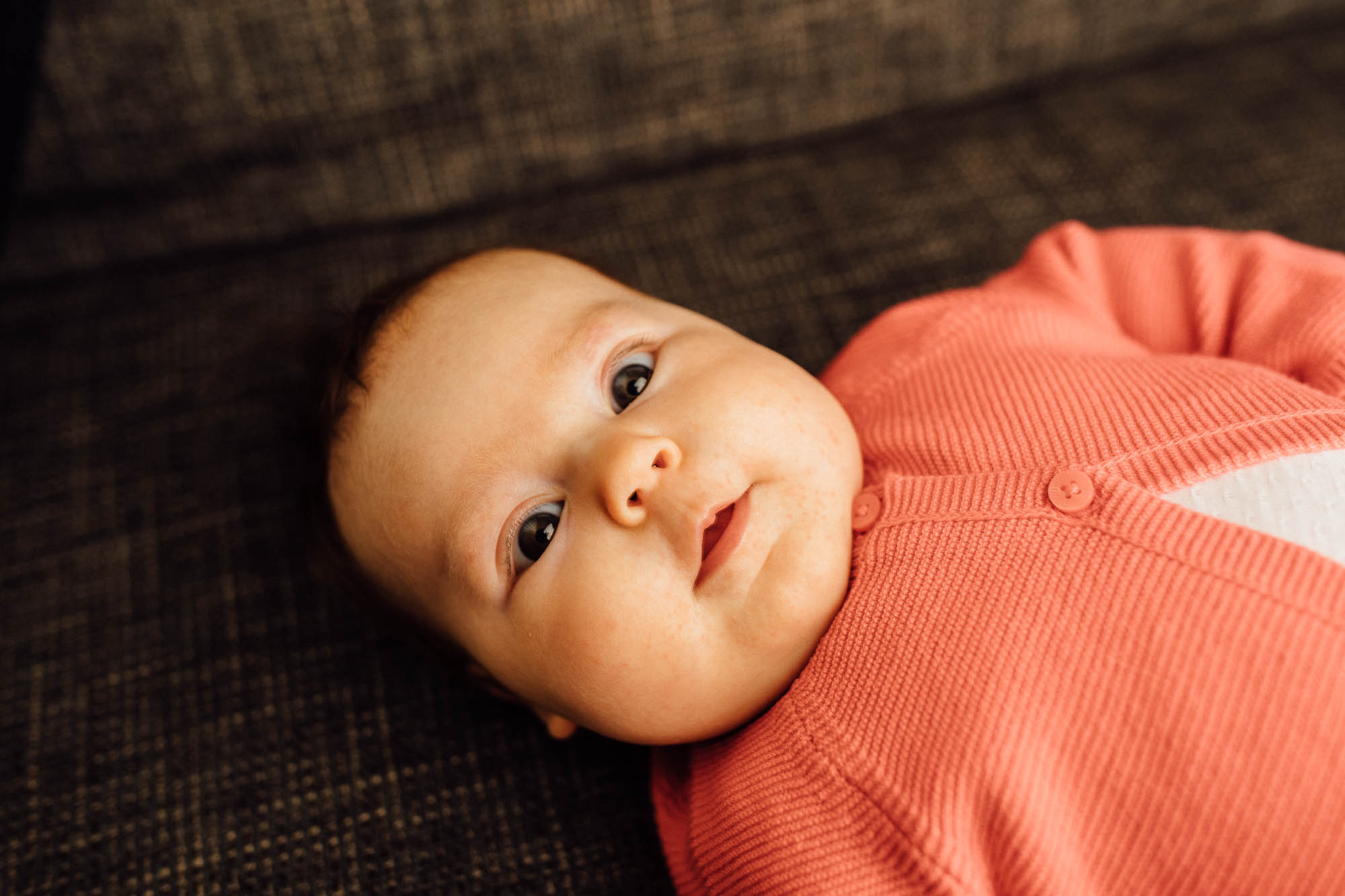 Export x3 5D4 0441 Familyfotoshooting 2020 Rossbach